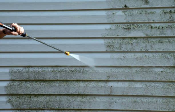 Animal Enclosure Cleaning in Oakley, KS
